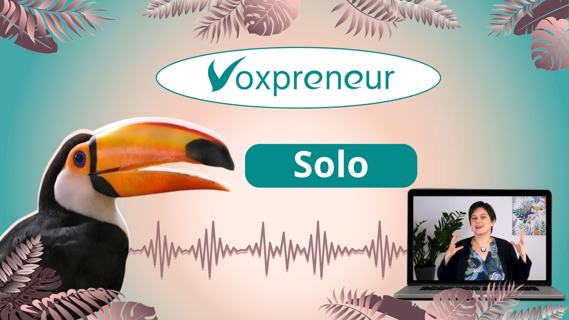 Voxpreneur-solo