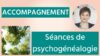 Vignette YT-Accompagnement 3 séances de psychogénéalogie avec Frédérique Vanryssel